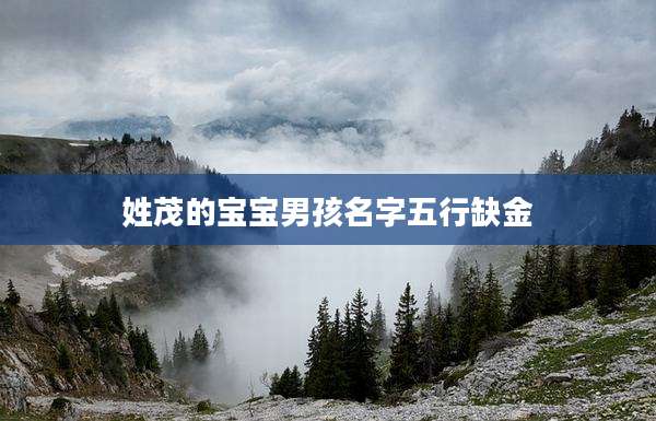 姓茂的宝宝男孩名字五行缺金