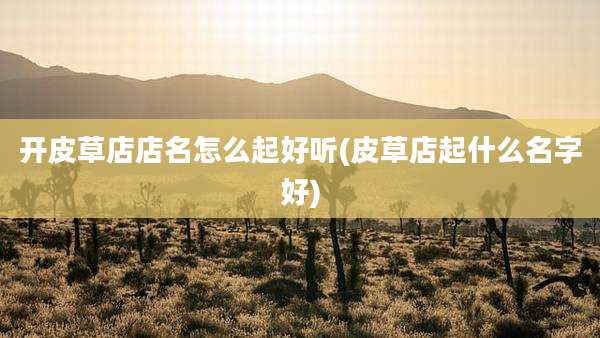 开皮草店店名怎么起好听(皮草店起什么名字好)