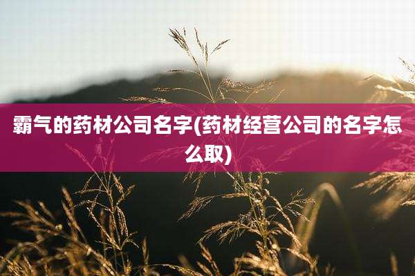 霸气的药材公司名字(药材经营公司的名字怎么取)