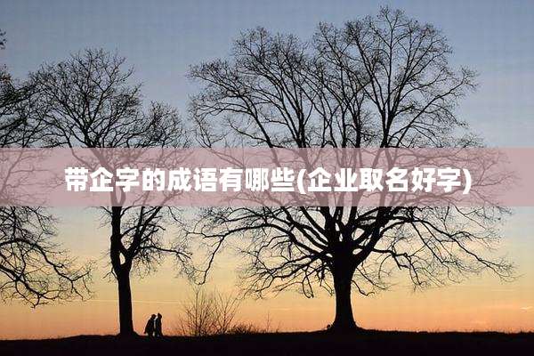 带企字的成语有哪些(企业取名好字)