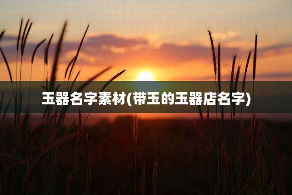 玉器名字素材(带玉的玉器店名字)