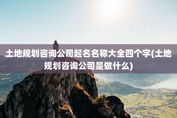 土地规划咨询公司起名名称大全四个字(土地规划咨询公司是做什么)