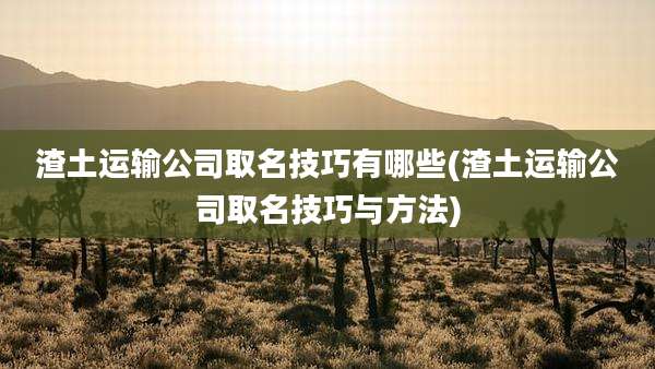 渣土运输公司取名技巧有哪些(渣土运输公司取名技巧与方法)