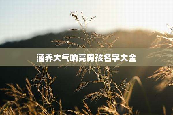 涵养大气响亮男孩名字大全