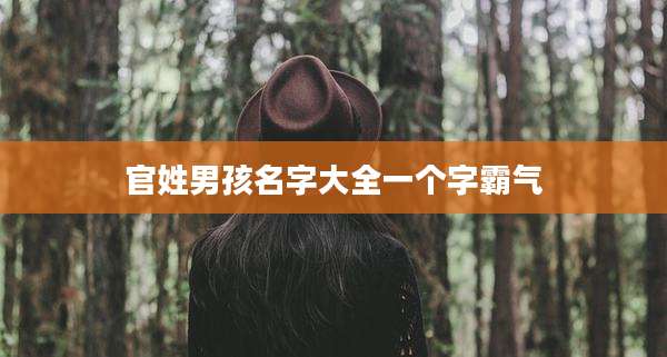 官姓男孩名字大全一个字霸气