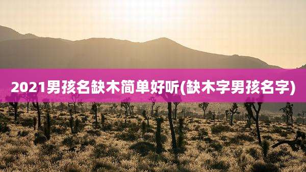 2021男孩名缺木简单好听(缺木字男孩名字)