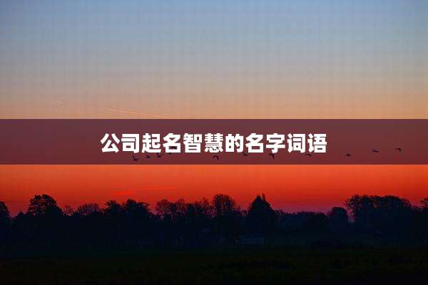 公司起名智慧的名字词语