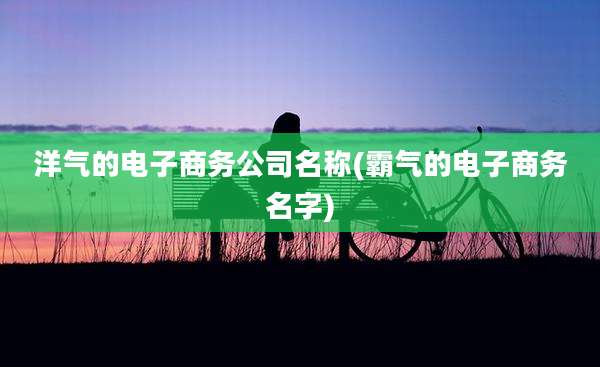 洋气的电子商务公司名称(霸气的电子商务名字)