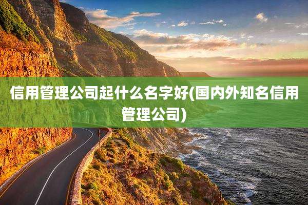 信用管理公司起什么名字好(国内外知名信用管理公司)