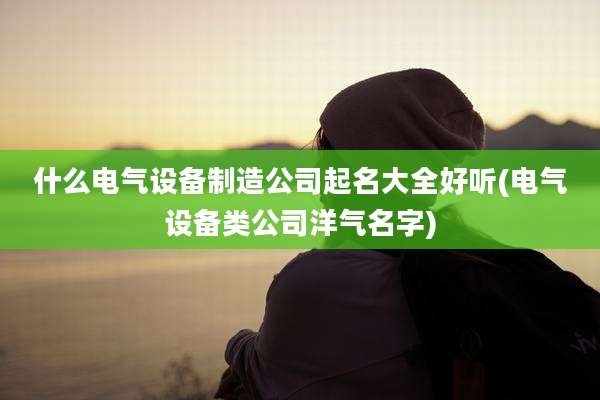 什么电气设备制造公司起名大全好听(电气设备类公司洋气名字)