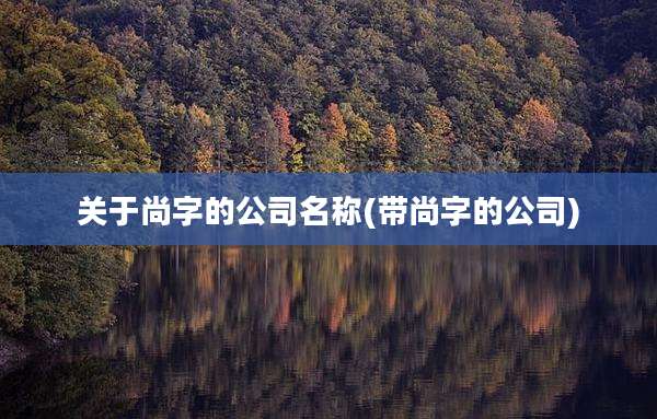 关于尚字的公司名称(带尚字的公司)