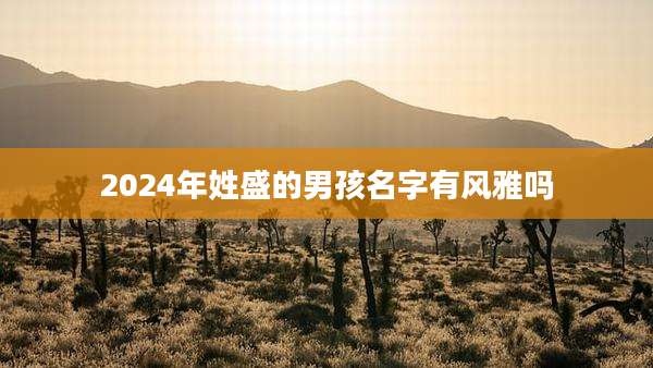 2024年姓盛的男孩名字有风雅吗