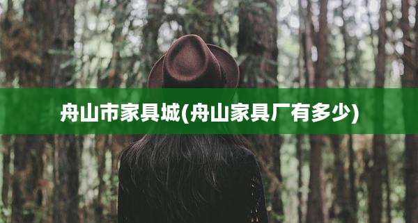 舟山市家具城(舟山家具厂有多少)