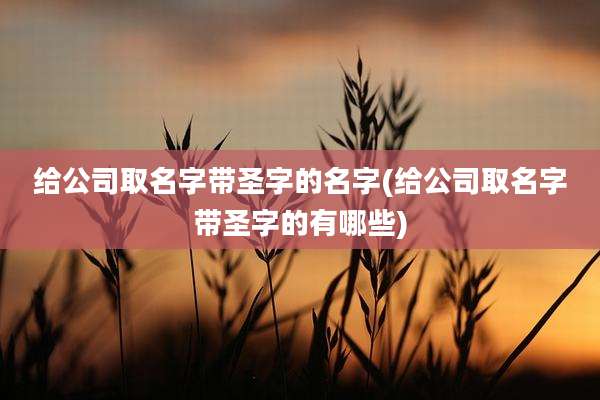 给公司取名字带圣字的名字(给公司取名字带圣字的有哪些)
