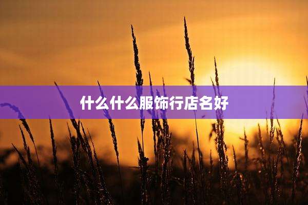 什么什么服饰行店名好