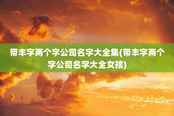 带丰字两个字公司名字大全集(带丰字两个字公司名字大全女孩)
