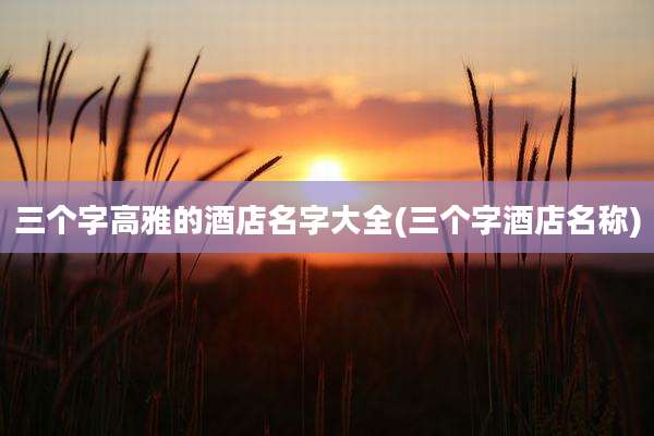 三个字高雅的酒店名字大全(三个字酒店名称)