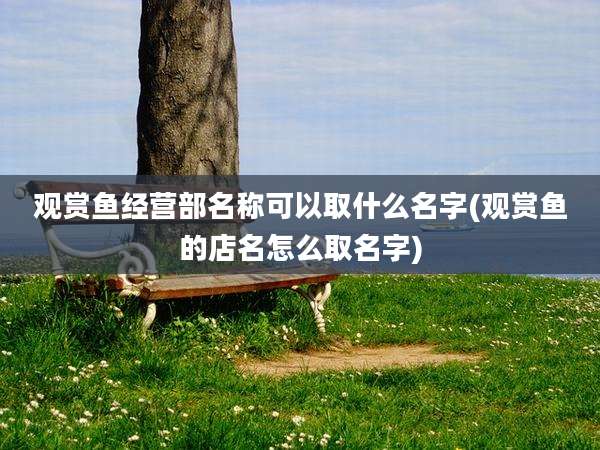 观赏鱼经营部名称可以取什么名字(观赏鱼的店名怎么取名字)