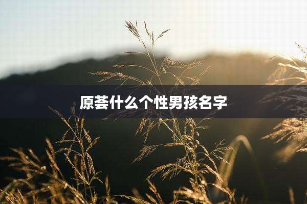 原荟什么个性男孩名字