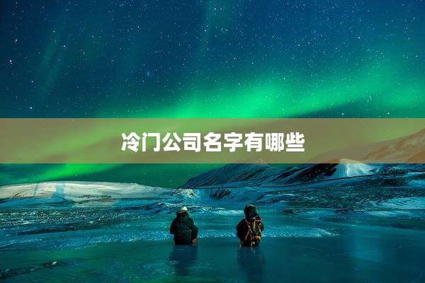 冷门公司名字有哪些