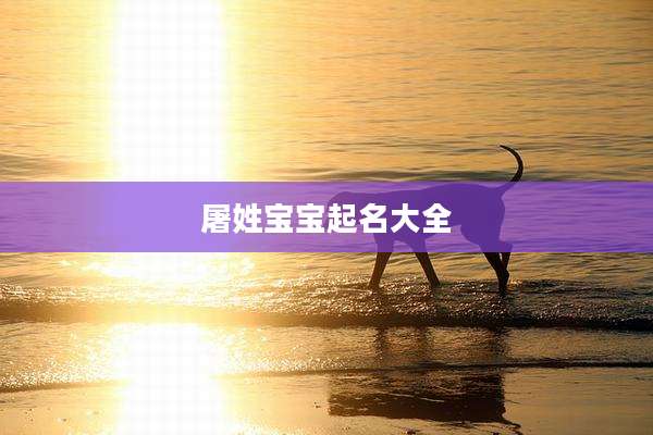 屠姓宝宝起名大全