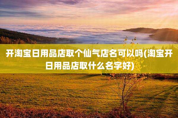 开淘宝日用品店取个仙气店名可以吗(淘宝开日用品店取什么名字好)
