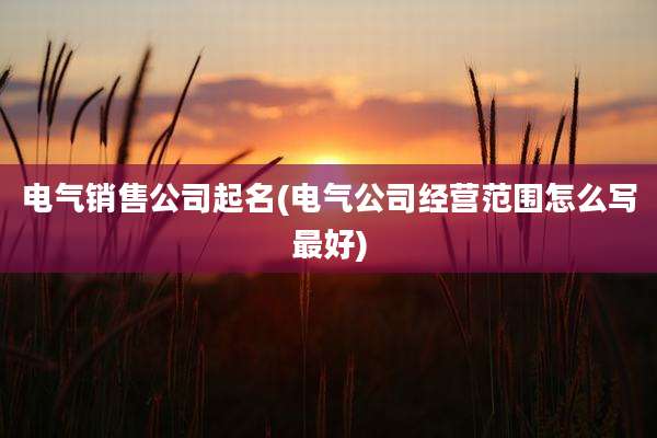 电气销售公司起名(电气公司经营范围怎么写最好)