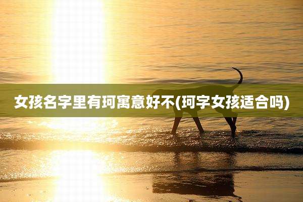 女孩名字里有珂寓意好不(珂字女孩适合吗)