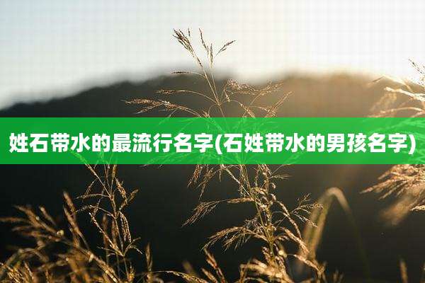 姓石带水的最流行名字(石姓带水的男孩名字)