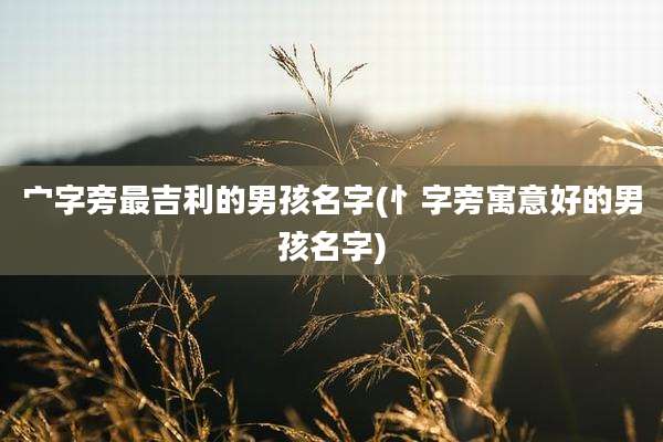宀字旁最吉利的男孩名字(忄字旁寓意好的男孩名字)