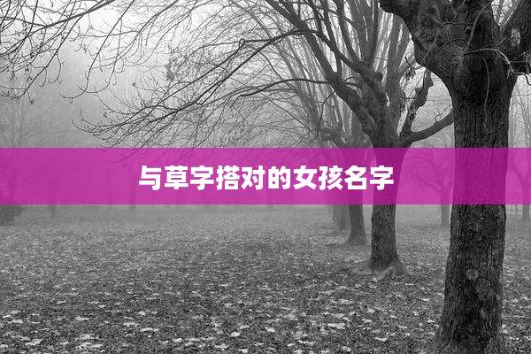 与草字搭对的女孩名字