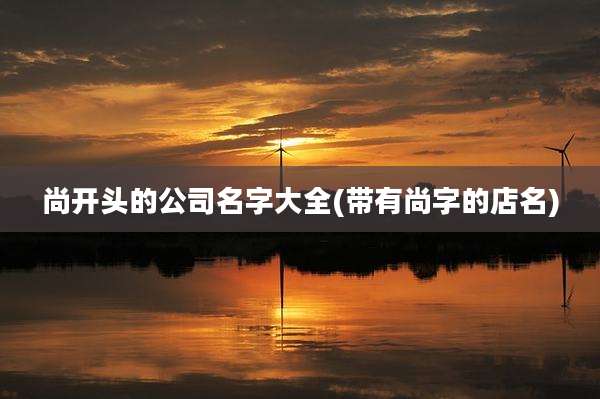 尚开头的公司名字大全(带有尚字的店名)