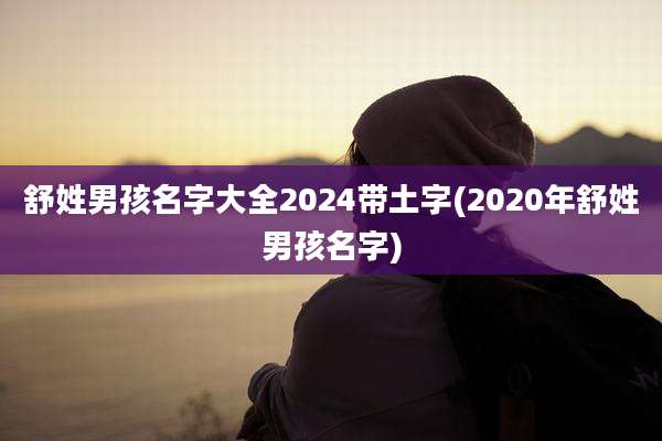 舒姓男孩名字大全2024带土字(2020年舒姓男孩名字)