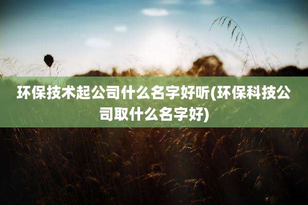 环保技术起公司什么名字好听(环保科技公司取什么名字好)