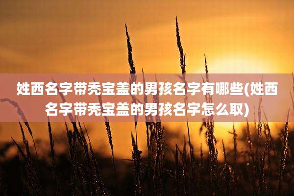 姓西名字带秃宝盖的男孩名字有哪些(姓西名字带秃宝盖的男孩名字怎么取)
