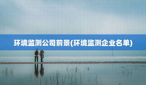 环境监测公司前景(环境监测企业名单)