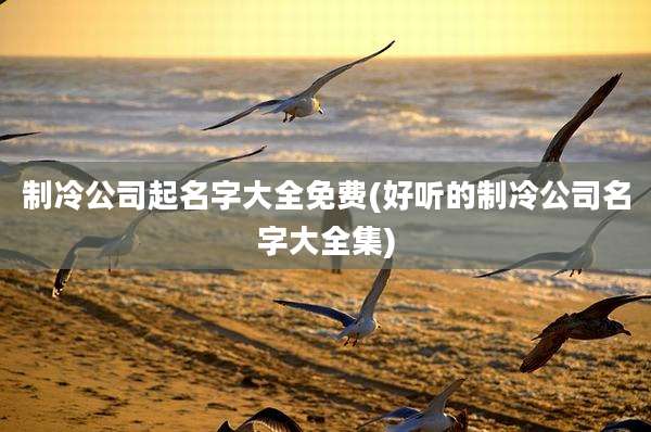 制冷公司起名字大全免费(好听的制冷公司名字大全集)