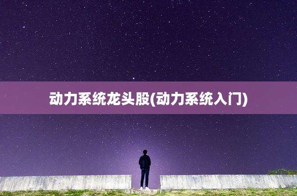 动力系统龙头股(动力系统入门)