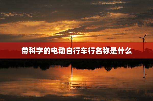 带科字的电动自行车行名称是什么