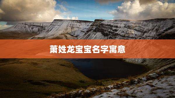 萧姓龙宝宝名字寓意
