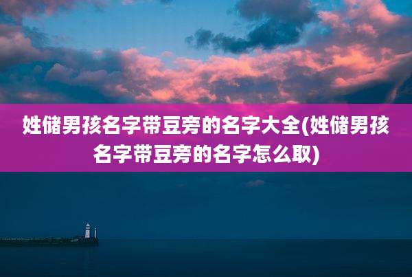 姓储男孩名字带豆旁的名字大全(姓储男孩名字带豆旁的名字怎么取)
