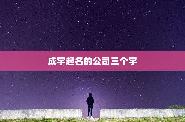 成字起名的公司三个字