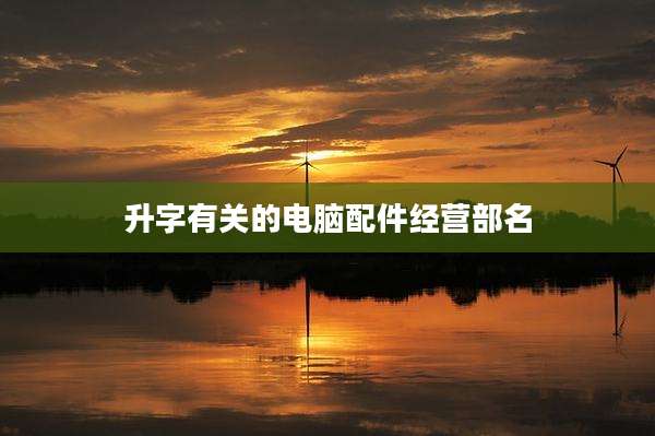 升字有关的电脑配件经营部名