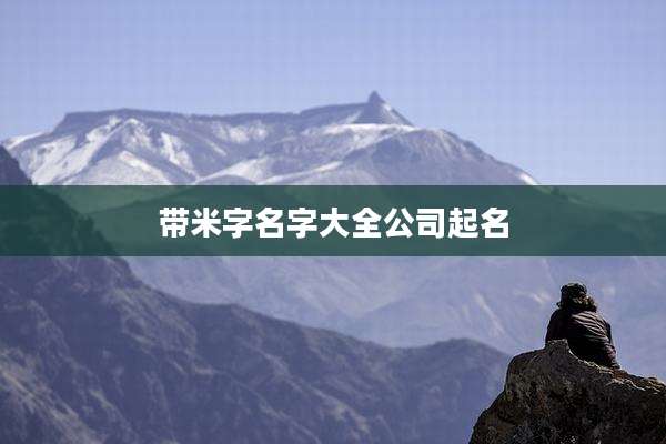 带米字名字大全公司起名