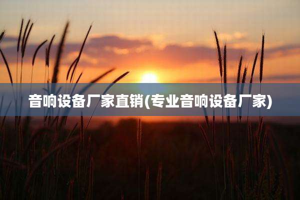 音响设备厂家直销(专业音响设备厂家)