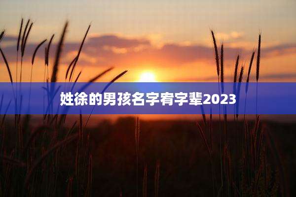 姓徐的男孩名字宥字辈2023