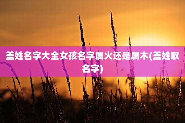 盖姓名字大全女孩名字属火还是属木(盖姓取名字)