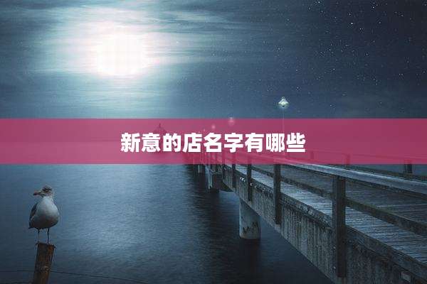 新意的店名字有哪些