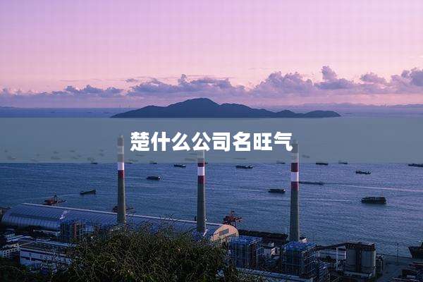 楚什么公司名旺气