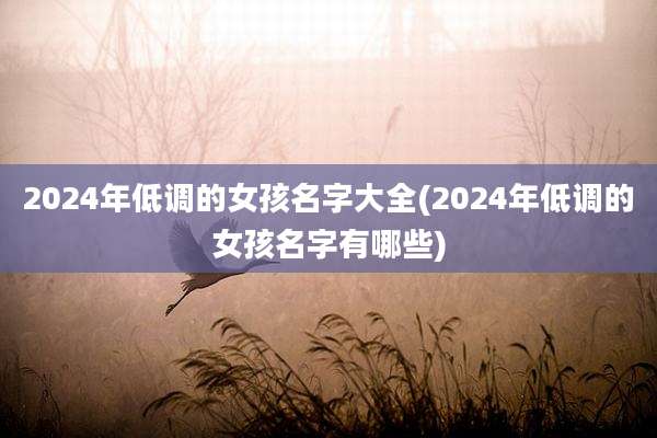 2024年低调的女孩名字大全(2024年低调的女孩名字有哪些)